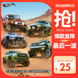 风火轮（HOT WHEELS）(随机1款发货)儿童礼物生日赛车玩具-风火轮仿真主题车系列GDG44