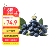 京鲜生 国产蓝莓 12盒14mm+装 125g/盒 生鲜水果 源头直发 包邮