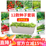 花沃里12款蔬菜种子大全（赠花盆）西红柿黄瓜辣椒白菜菠菜香葱豆角生菜