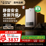 史密斯（A.O.SMITH）16升精钢燃气热水器 【史密斯银河】国家补贴 1级静音认证 安全守护 JSQ31-EDQ6 新品