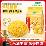 十月稻田 黄小米 1kg 小米粥 五谷杂粮 小黄米 粗粮 早餐粥米 2斤