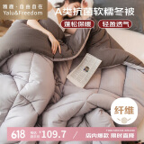 雅鹿·自由自在A类被子春秋棉被芯单双人宿舍学生5斤180x220cm 古典灰