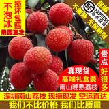 菓灵稥 深圳南山晚熟荔枝现摘新鲜当季水果糯米桂白糖礼盒送礼装糍罂味 普通装 南山荔枝 5斤 晚熟荔枝 顺丰空运 送礼佳品