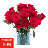 【玫瑰花】10枝装特价云南鲜花直发节日鲜花礼物花束家用水养插花 高原红玫瑰10枝