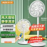 奥克斯(AUX)电风扇/遥控落地扇/交流定频家用循环空气/节能柔风台式立式两用/桌面风扇/FS1613RC-1(20叶)
