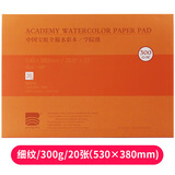 极描保定宝虹水彩本四面封胶300g水彩本纯棉水彩纸水彩速写本极描 4k细纹【300g】