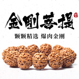 山中玉爆肉金刚菩提子手串男女士链藏式原籽大双龙纹文玩520送礼物 五瓣爆肉金刚手串18-19mm+工具