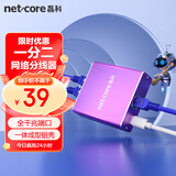 磊科（netcore）Z12G 一分二网线分线器 2网口转接头网络交换器 千兆交换机 电脑笔记本路由器IPTV机顶盒HUB分流器