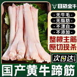 目无全牛国产新鲜牛蹄筋 生牛筋大主筋生鲜牛肉脱骨牛筋 牛蹄筋 5斤