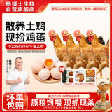 杨博士皖南散养土鸡鸡蛋组合 净重5.2斤 仔公鸡4只+初生蛋20枚源头直发