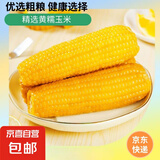 新鲜黄糯玉米真空包装速食玉米低脂粗粮代餐杂粮早餐包邮京东快递 福利专项 4棒 （180g-220g/棒）