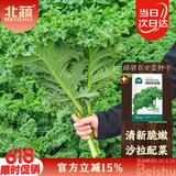 北蔬 羽衣甘蓝种子苗四季盆栽阳台种耐寒菜种籽 绿羽衣甘蓝种子100粒