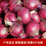 【新鲜现挖】当季紫皮红洋葱深紫色生吃水果洋葱蔬菜批发包邮 9斤现挖新鲜紫皮洋葱实惠推荐