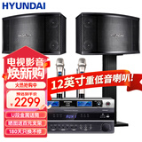 HYUNDAI现代家庭影院ktv音响套装家用k歌电脑电视客厅卡拉ok全套会议室卡包店铺专业功放音箱设备 【尊享版】12吋音响套装