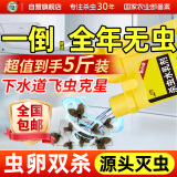 坤宁王下水道杀虫剂2500ml厕所卫生间去除小飞虫杀蛾蚋蛾蠓管道灭杀神器