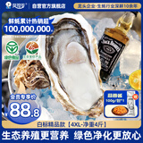 贝司令（BEISILING）【鲜活】乳山生态生蚝牡蛎贝类烧烤源头直发4XL净重4斤 海鲜水产