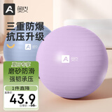 奥义瑜伽球孕妇防爆平衡球成人普拉提健身球儿童大龙球婴儿感统训练球
