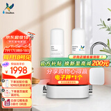 道尔顿（Doulton）净水器家用直饮 厨房自来水龙头过滤器矽藻陶瓷净水机无废水可清洗超滤饮水机 D-CP203