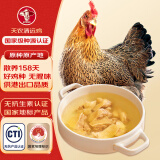 天农 纯种清远鸡整鸡肉 1.8-2斤 无抗供港土鸡 冷冻 山林散养走地鸡