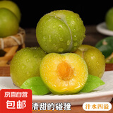 新鲜青脆李脱骨李酸甜可口早熟青脆李子孕妇水果现摘现发 脱骨李中果【8-10g】 带箱1斤