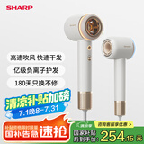夏普高速吹风机家用 大功率负离子电吹风低噪音护发风筒高速风干不伤发升级款IB-RP47C-C