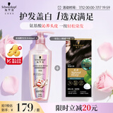 施华蔻（Schwarzkopf）怡然一按染2.0雾感冷黑 染发剂植物染发膏+氨基酸洗发水400ml