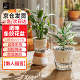 九千谷花盆塑料透明懒人自吸水盆水培水养植物免浇水储水盆口径16cm6049