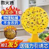 雷灭速果蝇诱捕器粘虫球小飞虫诱捕器粘苍蝇克星家用室内外诱蝇捕蝇神器