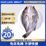 GUO LIAN国联水产 酒香海鲈鱼净重400g 三去开背 海鲜海产
