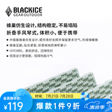 黑冰（BLACKICE）户外露营GEO单人蜂巢防潮垫铝箔款轻量可折叠便携蛋巢野餐垫子 Z6106淡青灰 均码