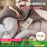 雅鹿·自由自在A类被子抗菌春秋冬季棉被芯单双人宿舍学生5斤150x200cm 古典灰