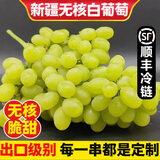【顺丰】新疆玻璃翠葡萄 火焰无核三色白葡萄脆甜马奶提子水果 无核白葡萄4.5斤 特级果【精品礼盒】