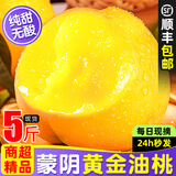 粤迎山东蒙阴黄金油桃【JD顺丰多地次日达】现摘现发桃子爆甜多汁源头 净3斤A+级精选果【单果90g+】