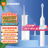 小米（MI） 米家电动冲牙器2 家用洗牙器美牙仪 牙齿清洁器 口腔护理  3档模式 专业微气泡喷嘴长续航 米家电动冲牙器2+白色扫振电动牙刷套装