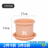 爱丽思（IRIS）花瓶彩色Deepot圆形月季铁线莲花盆园艺批发树脂花盆塑料盆 5号皮肤粉【带托