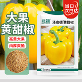 北蔬 甜椒种子苗方椒灯笼椒四季盆栽蔬菜种籽 泽安德黄甜椒种子200粒