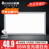 志高厨房灯集成吊顶厨卫灯具300x300x600x600扣板灯卫生间吸顶平板灯 55W /300*600mm/银色/白光