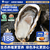 贝司令（BEISILING）【鲜活】乳山生态生蚝牡蛎贝类烧烤源头直发5XL净重9斤 海鲜水产