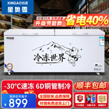 星奥雪冰柜商用家用卧式冷柜大容量冷藏冷冻展示柜双温商用大容量冷冻柜商用大冰柜 788单温铜管升级款（长1.45米双门）