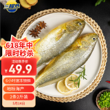 三都港 鲜冻原条黄花鱼净重2斤/2条 宁德大黄鱼 深海鱼生鲜鱼类海鲜水产