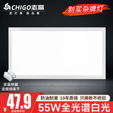 志高厨房灯集成吊顶厨卫灯具300x300x600x600扣板灯卫生间吸顶平板灯 55W /300*600mm/白色/白光