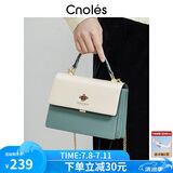 蔻一（Cnoles）包包女士款2025年最新款牛皮女生高端斜挎包通勤大容量单肩包