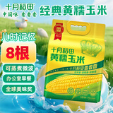 十月稻田 黄糯玉米 3.52斤(220g*8根) 东北甜黏玉米棒 早餐苞米 真空包装