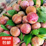 新鲜三华李酸甜可口早熟红心李子孕妇水果现摘现发 三华李大果【20-22g】 带箱3斤
