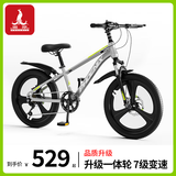 凤凰儿童山地自行车6-15岁青少年学生车男女孩碟刹减震变速18寸灰色