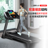舒华（SHUA）A9跑步机家庭用折叠爬坡减震智能健身房器材走步机SH-T9119A-H1