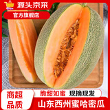 京源采山东哈密瓜西周密瓜当季新鲜孕妇水果冰淇淋网纹瓜哈蜜瓜源头直发 净重4.5-5斤优选装(70%选择)