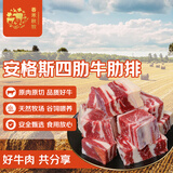 春禾秋牧 阿根廷安格斯谷饲原切四肋牛肋排2.5斤 偏肥煲汤进口生鲜牛肉