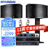 HYUNDAI现代家庭影院ktv音响套装家用k歌电脑电视客厅卡拉ok全套会议室卡包店铺专业功放音箱设备 【尊享版】12吋音响套装
