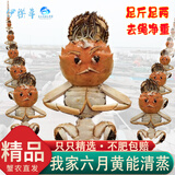 【活蟹】特大伊乐草精品六月黄太湖大闸蟹鲜活现货螃蟹中秋节送礼 8只 六月黄公蟹 2.4-2.7两